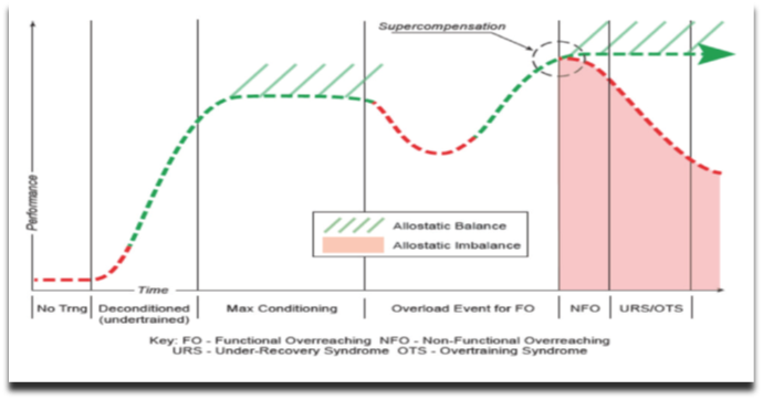 Figure 1. Theoretical model for allostatic imbalance continuum. Figure 1 showcasing the theoretical model for allostatic imbalance continuum.